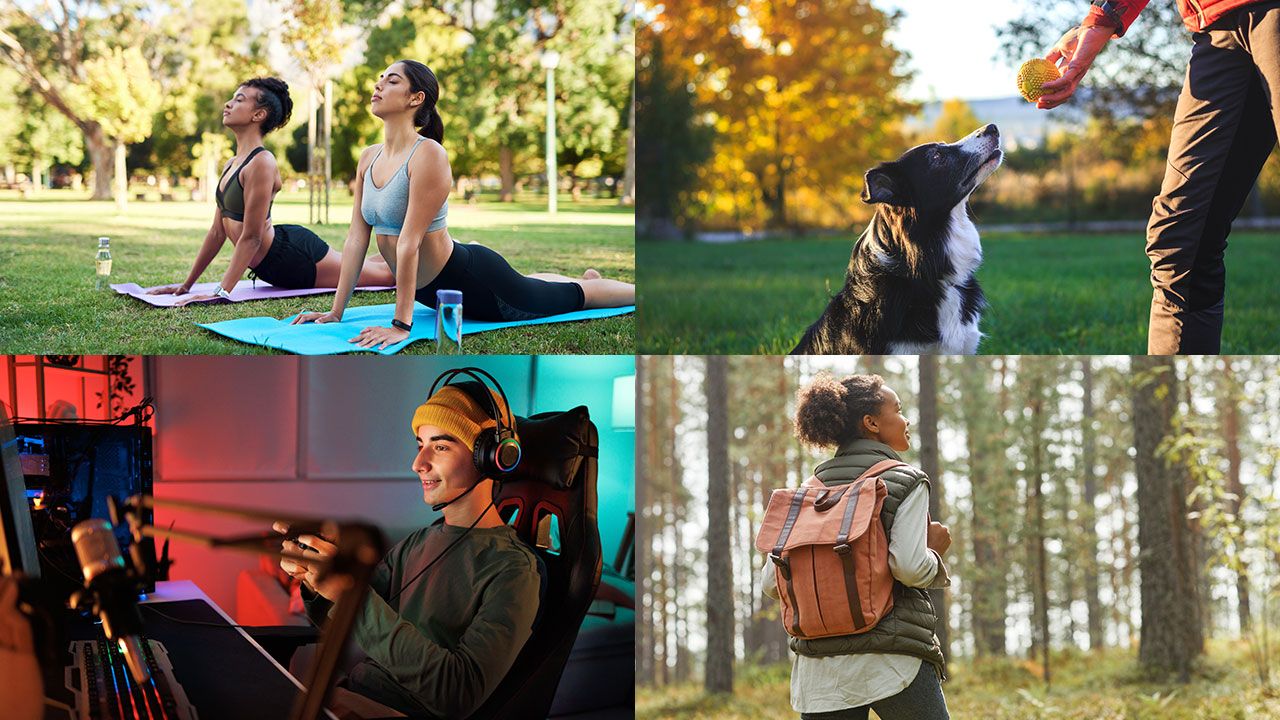 Various niche market examples